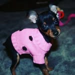 edward bruno - @edwardbruno4276 - Instagram