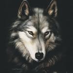 Edward Bruno You - @brunobonjour - Instagram