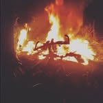 Edward brutnell - @brutnelledward - Instagram