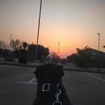edward brutnell - @brutnelle - Instagram