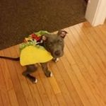 Bryce Edward - @bryce.edward - Instagram