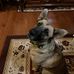 Edward Bryk - Facebook