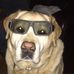 Ed Bucci - Facebook