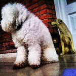 Edward Budney - @edwardbudney - Instagram
