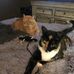 Edward Buffington - Facebook