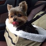 Edward Buonocore Sr. - @buonocoresr.edward - Instagram