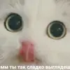 Эдо - @edwardburito - TikTok