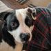 Edward Bushey - Facebook