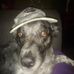 Diamond Bushnell - Facebook
