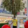 Edward Jupia Canada - @edwardjupiacanada - TikTok