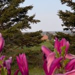 Jesse | Prince Edward Island | Canada - @findingmaritimes - Instagram