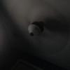 Daren Cantu - @edward_cantu.1 - TikTok