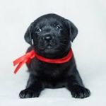 Edward Cantu - @m.uw1.5945 - Instagram