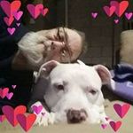 edwardcaputo - @edwardcaputo2109 - Instagram
