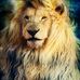 Edward Carrillo - Facebook