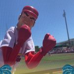 @edwardlovesthecardinals - Instagram