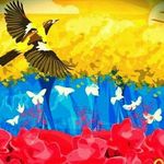 Edward Cardozo - @edwardcarga - Instagram