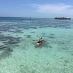 Edward Carroll - @edwardcarroll268 - Instagram