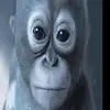 emy - @e.carruthers - TikTok