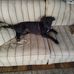 Edward Caruthers - Facebook