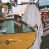 cool wolfpack - @edwardcasados983 - TikTok