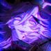 Edward Casella - Facebook