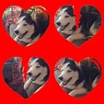 Edward Castleton Jr. - @castletonjr.edward - Instagram