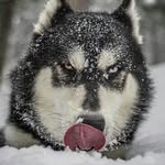 £dward_ty dollar - @edward_cavaliers - Instagram