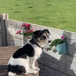Edward Cawley - Facebook
