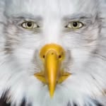 edward champion - @1234567891o2688 - Instagram
