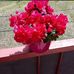 Edward Ciszewski - Facebook