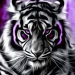 Edward Clary - @thomasclary5500 - Instagram