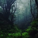 Edward Clemmons - @sigma.shadow - Instagram