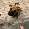 Edward Clemons - @edward.clemons6 - TikTok