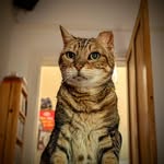 Edward Billington-Cliff - @eddbc - Instagram