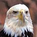 Edward Clowdus - Facebook