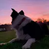 Edward Clowes - @edward.clowes - TikTok