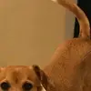 JamesEdwardLnClOW - @jamesedwardlnclow - TikTok