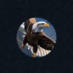 Edward Coe - @mrecoe001 - Instagram