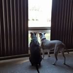 Edward McCollum - @edwardmccollum - Instagram