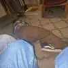 Colton - @colton_edward - TikTok