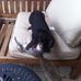 Edward Comiskey - Facebook