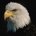 Ed Comstock - Facebook