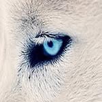 Conan.Edward _2003 - @conan.edward - Instagram