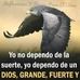 Edward Cone Reyes - Facebook