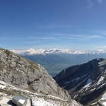 Edward Considine - @edward_considine - Instagram