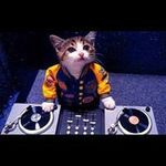 Hotrod Edward Conyers - @hotrodconyers - Instagram