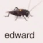 edward - @_.edwardcord._ - Instagram