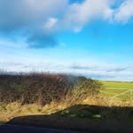 edward cornforth - @edward_cornforth123 - Instagram