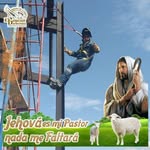 Edward Correa - @edward.correa.31 - Instagram